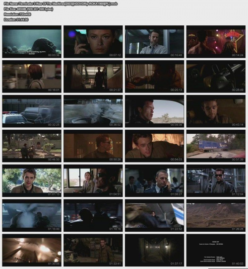 Terminator 3 Rise Of The Machines 2003 PL HDDVDRip ROKA1969 PL preview 0
