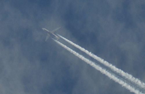 darmowy hosting obrazków