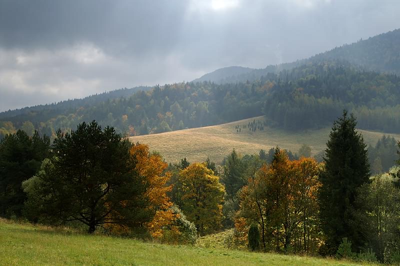 Dołączona grafika