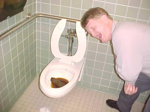 [Obrazek: 8621583827eea0c2med.jpg]