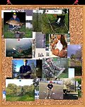 images36.fotosik.pl/95/de3365ed6fc97fa3m.jpg