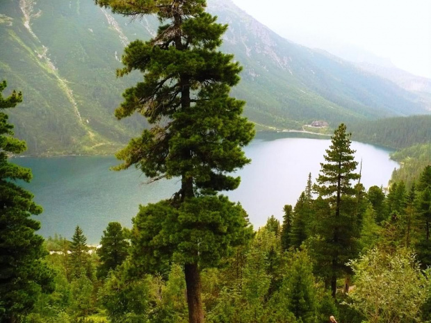 Morskie oko