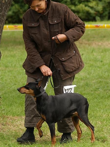 Suki kl. weteranów - BRANKA Galant