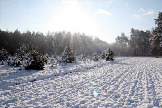 #zima #las #śnieg #droga #polana #słońce #flara #Bralin
