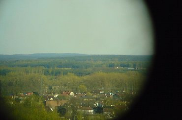 panorama : kierunek wschód ESE #TomaszówMazowiecki #PuszczaPilicka #LasySpalskie #panorama