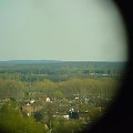 panorama : kierunek wschód ESE #TomaszówMazowiecki #PuszczaPilicka #LasySpalskie #panorama