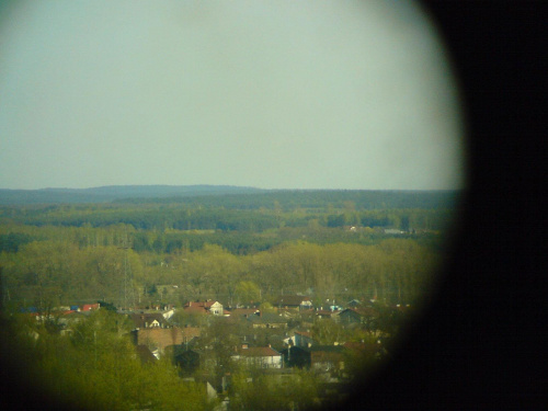 panorama : kierunek wschód ESE #TomaszówMazowiecki #PuszczaPilicka #LasySpalskie #panorama
