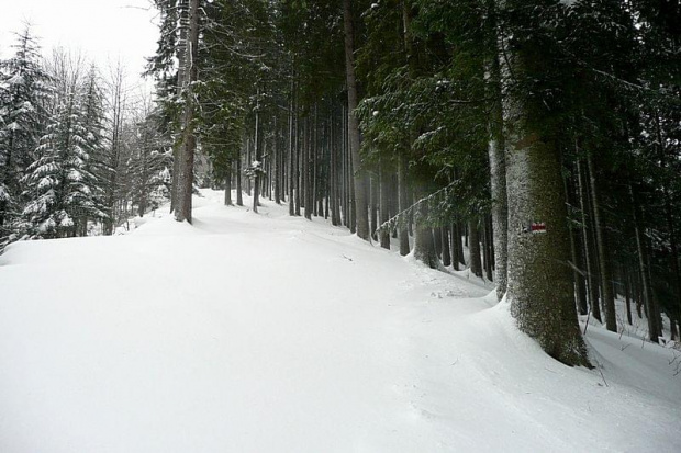 2009.03.18 TATRY