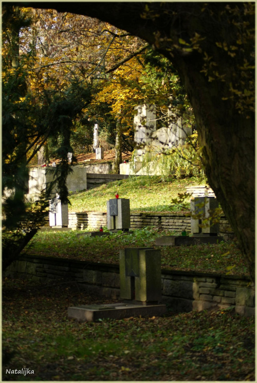 Cmentarz na Cydateli
