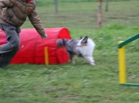 #Snickers_agility