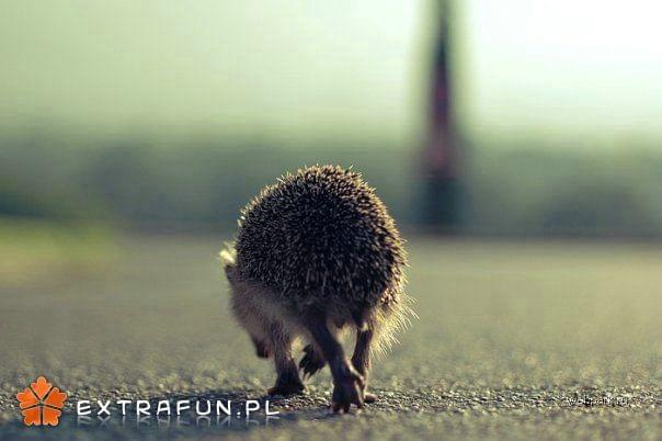 www.extrafun.pl #extrafun