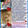 Natan Werner - Nowotwór - siatkówczak --- http://pomagamy.dbv.pl/ #NatanWerner #Nowotwór #siatkówczak #pomagamydbvpl #StronaInformacyjna #ApelOPomoc #LudzkaTragedia #PomocPotrzebującym #PomocDziecku #pomoc #PomocCharytatywna #rehabilitacja #SOS