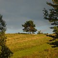 PIENINY #drzewa #krajobraz #natura #Pieniny