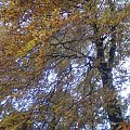 Piękna jesień w Szczecinie #Szczecin #Jesień #Przyroda