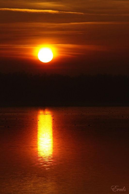 3.XII.2009 Mglisty zachód słońca... #ZachódSłońca