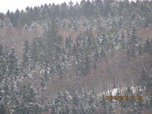 Zima w Hemer. Widok z mojego okna