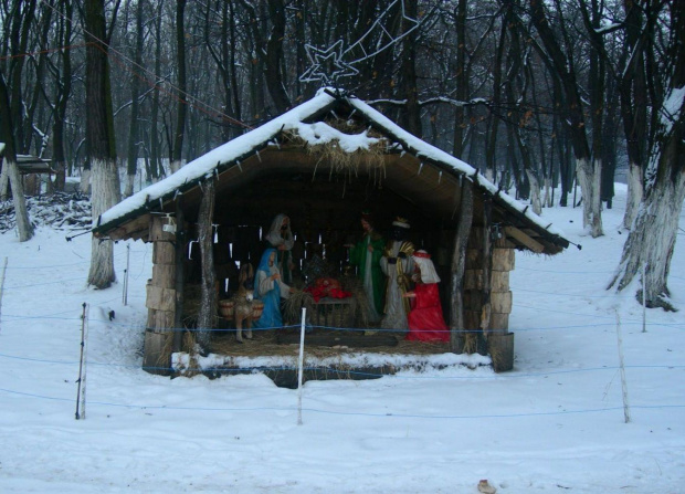 Park Strzelnica w Rudzie Śląskiej - Bielszowicach