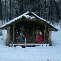 Park Strzelnica w Rudzie Śląskiej - Bielszowicach