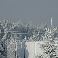 Mroźna zima. Małopolska Osiek/k Olkusza. Zdjęcia robione w pewien nudny dzień bez prądu.