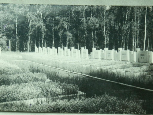 Wałbrzych. Cmentarz wojenny. Tak parę lat temu #Wałbrzych