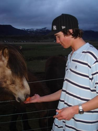 Paddy with Hors:)