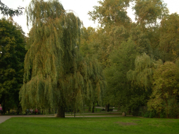Jesień idzie przez Park
