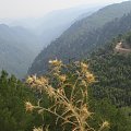 Kanion Jeleni