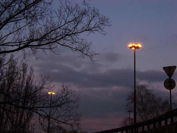 A tak sobie uwiła wianki #Warszawa #MostŁazienkowski #latarnie #wieczór