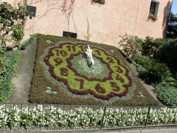 Zegar kwiatowy w Zittau..tak łatwiej się pogodzić z upływem czasu ;) #zegar #kwiaty #Zittau #Niemcy