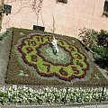 Zegar kwiatowy w Zittau..tak łatwiej się pogodzić z upływem czasu ;) #zegar #kwiaty #Zittau #Niemcy