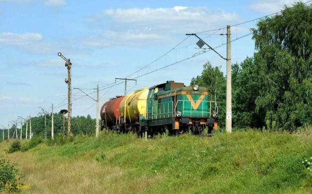 Przetycz | SM42-2529 z pociągiem zdawczym z Ostrołęki do bazy paliw w Emiljanowie. #SM42 #stonka #Lotos #Przetycz #zdawka #spalinowa #lokomotywa #towarowy #kolej #rail