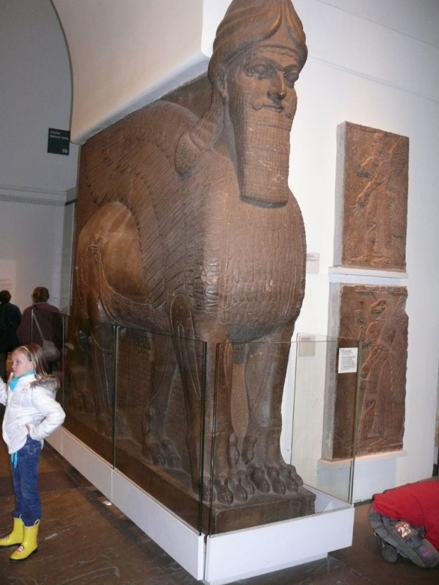 Colossal statue of a winged lion from the North-West Palace of Ashurnasirpal II #BritishMuseum