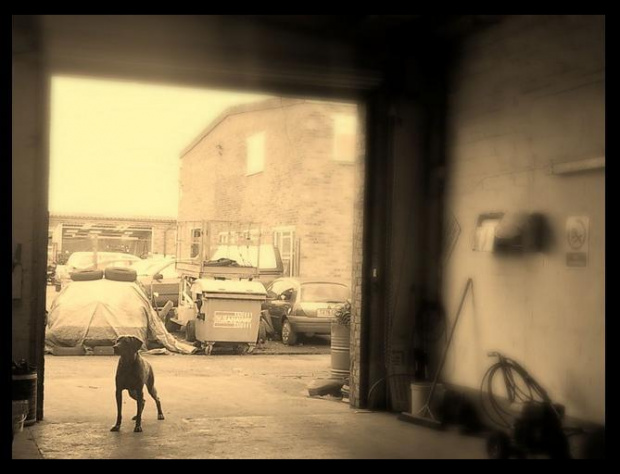garaz w Soham... i nasza szara reczywistosc schowana za mgla ;)
