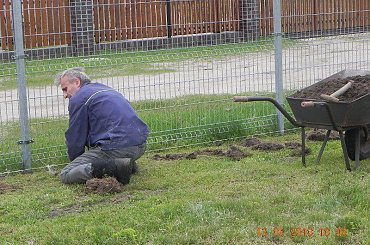 #Tuje #Boisko #Przyprostynia