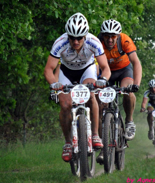 Poland Bike Maraton, Poland Bikejoring, Łuków #PolandBikeMaraton #PolandBikejoring #Łuków