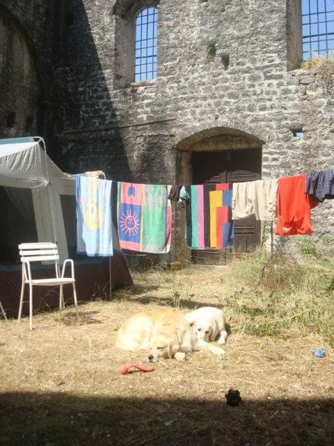 Tutaj mieszkaliśmy - namioty rozbite w zburzonym kościele w Dobrocie