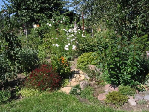 2008 ogród Łucji