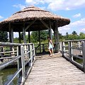 Arboretum Leśne-Syców #wakacje #przyroda