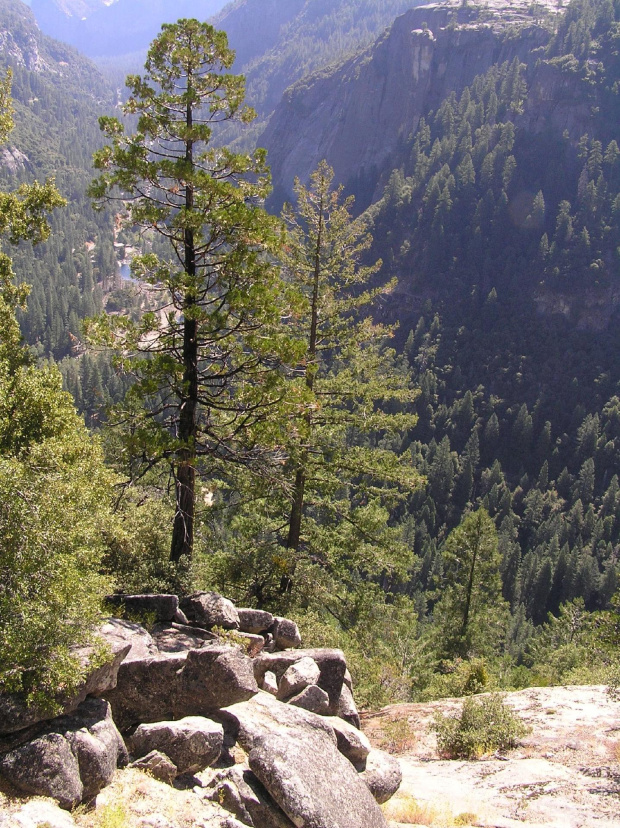 Park Yosemite