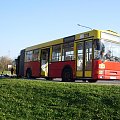 Jelcz M181M #JelczM181MPrzegubowiec