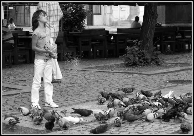 Dziewczynka z gołębiami #dziecko #gołębie #rynek #Świdnica #uliczne