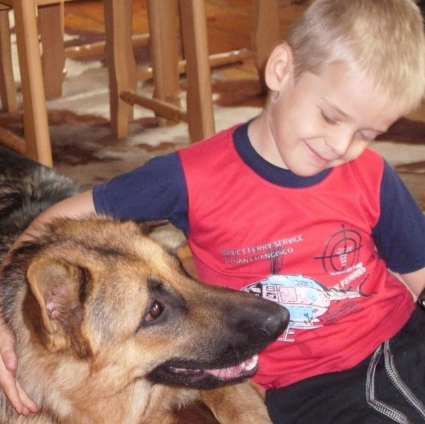 wakacje 2008, Węgorzynko. Adas i Owczarekk niemiecki :) #OwczarekNiemiecki #pies #rasa