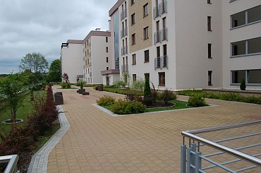 otoczenie #wynajmę #Olsztyn #Leśna #apartament #DoWynajęcia