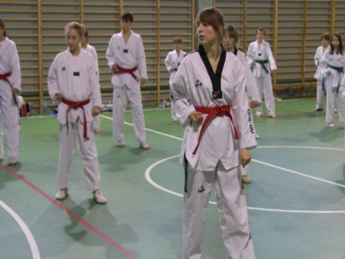 seminarium z MIstrzem Kang Cheol In 7 dan #taekwondo #tkd #walka #zawody