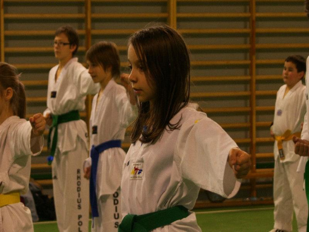 seminarium z MIstrzem Kang Cheol In 7 dan #taekwondo #tkd #walka #zawody