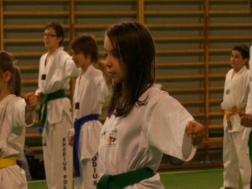 seminarium z MIstrzem Kang Cheol In 7 dan #taekwondo #tkd #walka #zawody