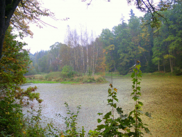 okolice Dolnego Śląska