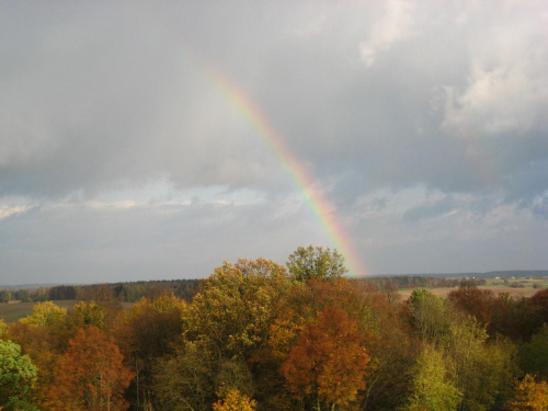 #tęcza #jesień #park #drzewa #las #niebo