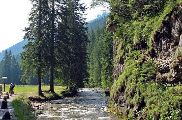 w Dolinie Kościeliskiej #DolinaKościeliska #Tatry #góry #potok #woda #strumień