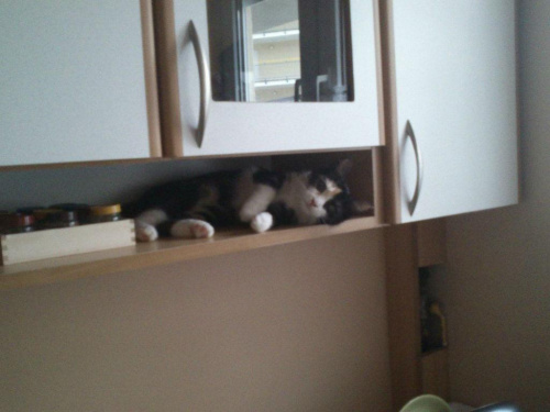 a kuku